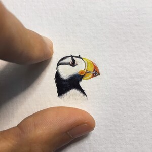 Pacific puffin, horned puffin, portrait of puffin, miniature painting, tiny art