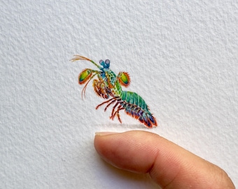 Mantis Shrimp Original Watercolour Painting, Miniature Ocean Art, Colourful Marine Life Artwork, Mounted Coastal Décor, One of a Kind Gift