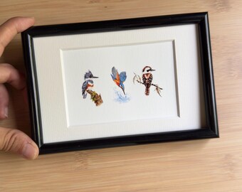 Kingfisher Trio Art Print | A6 Bird Watercolour Print | Belted Kingfisher Kookaburra Common Kingfisher | Wildlife Gift