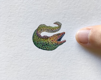 Moray eel, watercolour painting, tiny art, miniature painting, wildlife