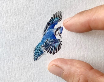 Flying blue jay, original painting, miniature painting, bird art