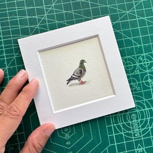 Dipinto originale ad acquerello di un piccione, miniatura di uccello, fauna selvatica urbana