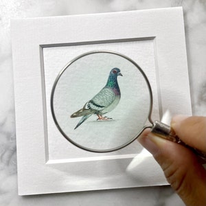 Pigeon, original watercolor, tiny art image 2