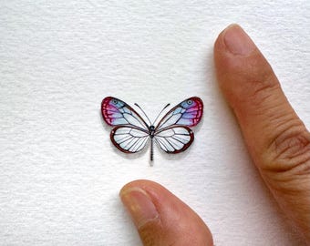 Glasswing Butterfly Original Watercolour Painting, Miniature Butterfly Art, Tiny Entomology Artwork, Nature Lover Gift