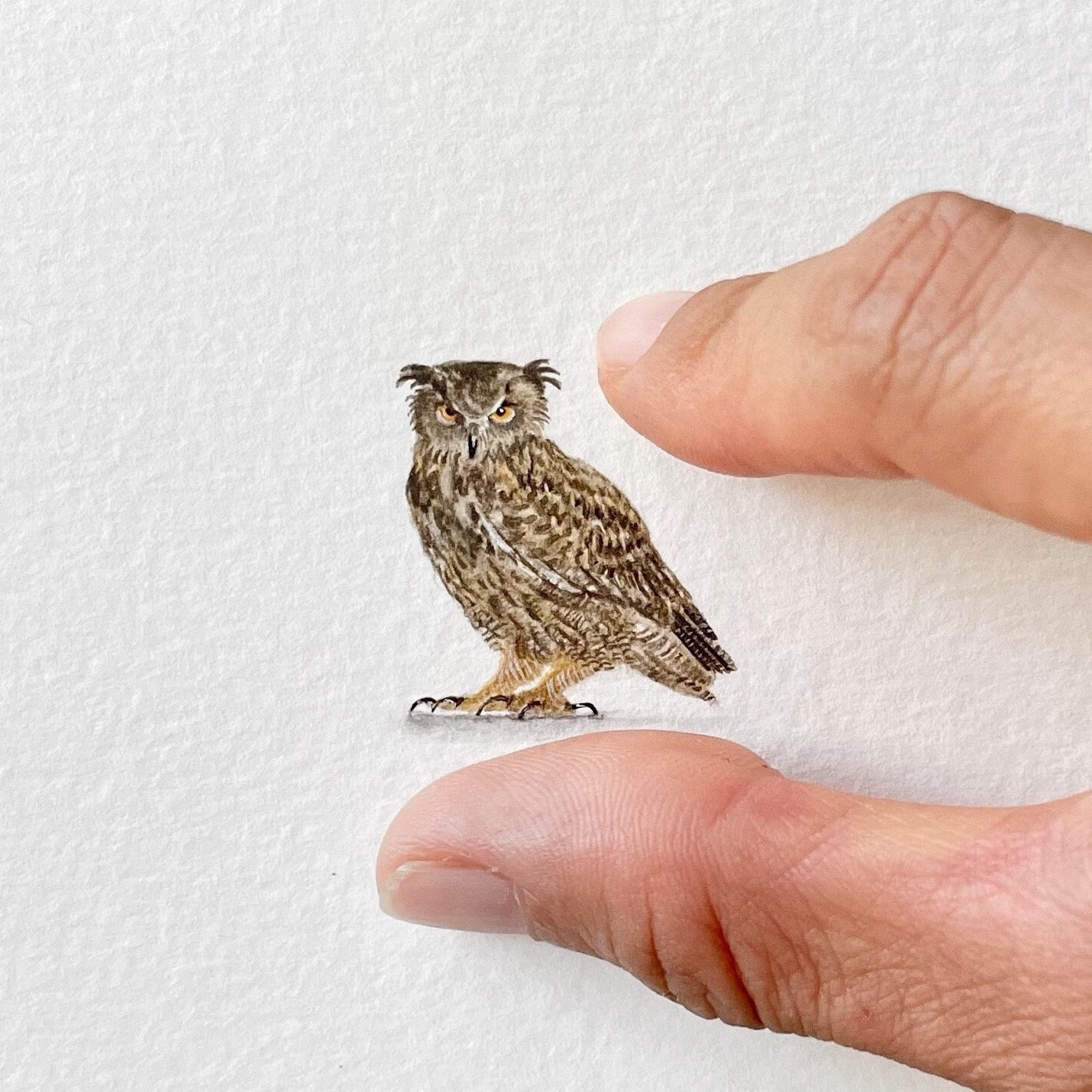 Eagle owl, original miniature painting, watercolour, owl artwork