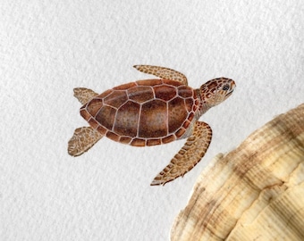 Loggerhead Turtle, original painting, tiny art