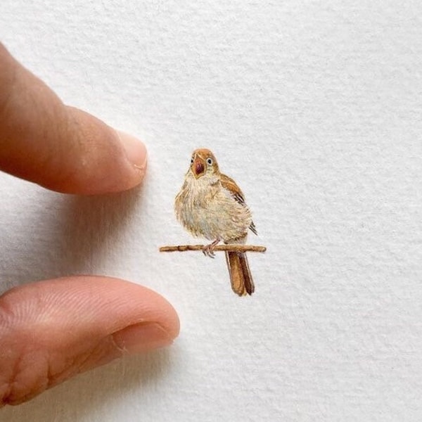 Rossignol commun, miniature aquarelle, peinture originale, oiseau/animal national de l'Ukraine