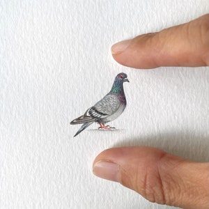 Pigeon, original watercolor, tiny art image 1