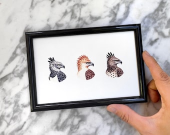 Eagles of the world, A6 Fine Art Print, Bird of Prey Art, Woodland Wildlife Decor, Art Print of Original Paintings