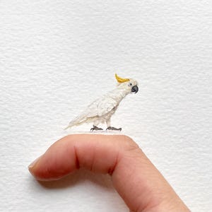 オウム、オリジナル水彩画、小さなアート