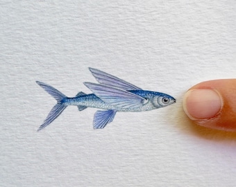 Flying Fish Original Watercolour Painting, Miniature Ocean Art, Mounted Marine Life Artwork, Coastal Décor, One of a Kind Animal Gift