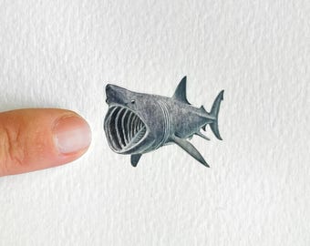 Basking Shark Original Watercolour Painting | Miniature Marine Wildlife Art