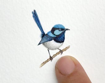 Superb Fairywren Original Watercolour Miniature – Tiny Australian Bird Painting