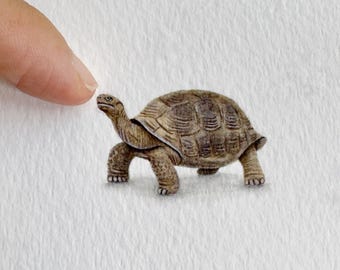 Galápagos Giant Tortoise Original Watercolour Painting, Miniature Wildlife Art, Mounted Turtle Artwork, Animal Lover Gift, One of a Kind