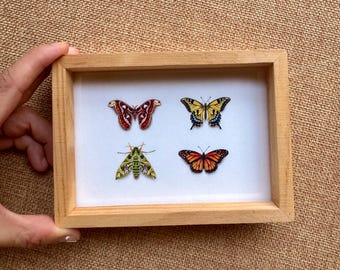 Butterflies and Moths, art print of original paintings