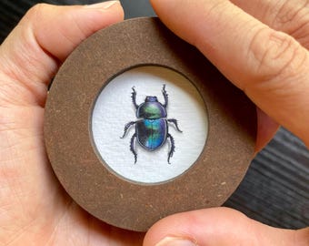 Original Watercolour Scarab Beetle Painting | Tiny Framed Insect Art (6cm Diameter)