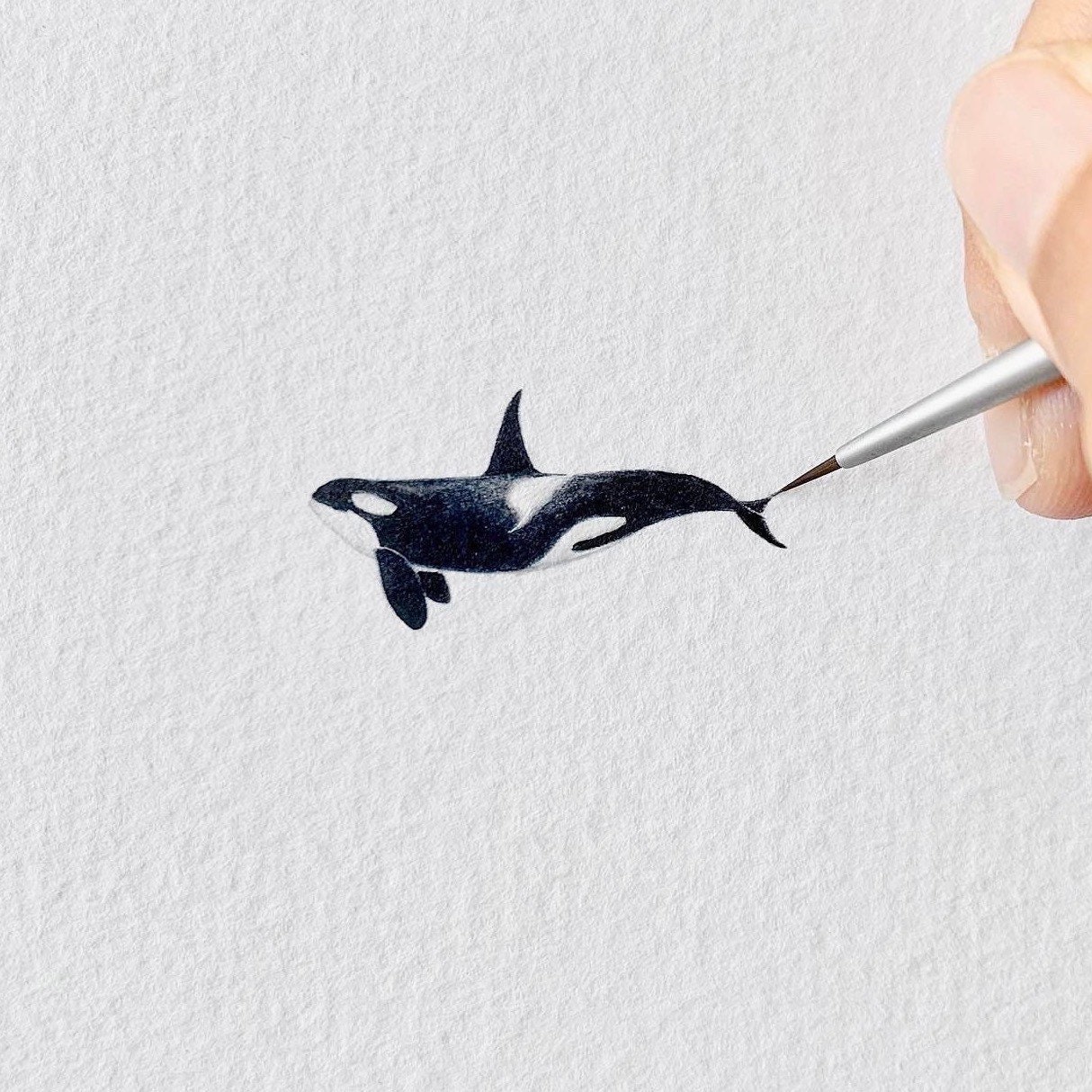 Orca, Killer Whale, Original Painting, Tiny Art - Etsy
