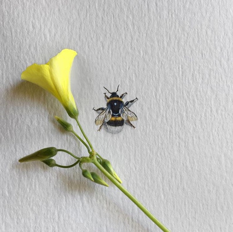 Bumblebee, original painting, miniature watercolor, tiny art, actual size image 2