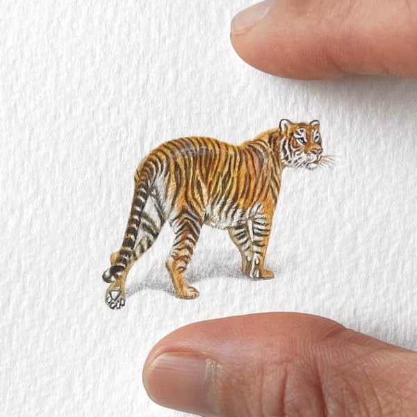 Tigre, peinture miniature, art minuscule