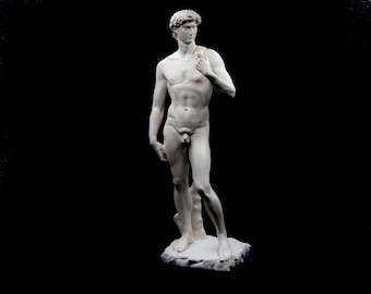 David Original Colour Copy Statue | Size Option |