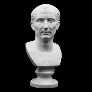 Farnese Julius Caesar Bust | Size Option |