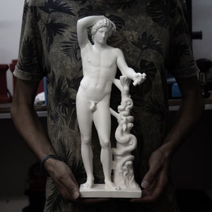 Lycean Apollo | Greek Mythology God Sculpture | Apollo Lyceius Replica | Size Option |