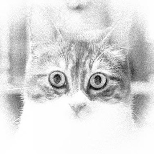 ガニメデスと鷲の像 | ギリシャ神話の彫刻 | ゼウスの献酌官アート