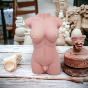 May include: A pink plaster sculpture of a torso with a detailed bust and a smooth, rounded surface.