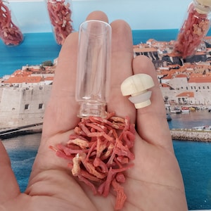 Authentic Croatian Gift, Precious Mediterranean coral, Natural Decorative Piece, Croatia Gift, Home Decoration, Small Bottle Ornament