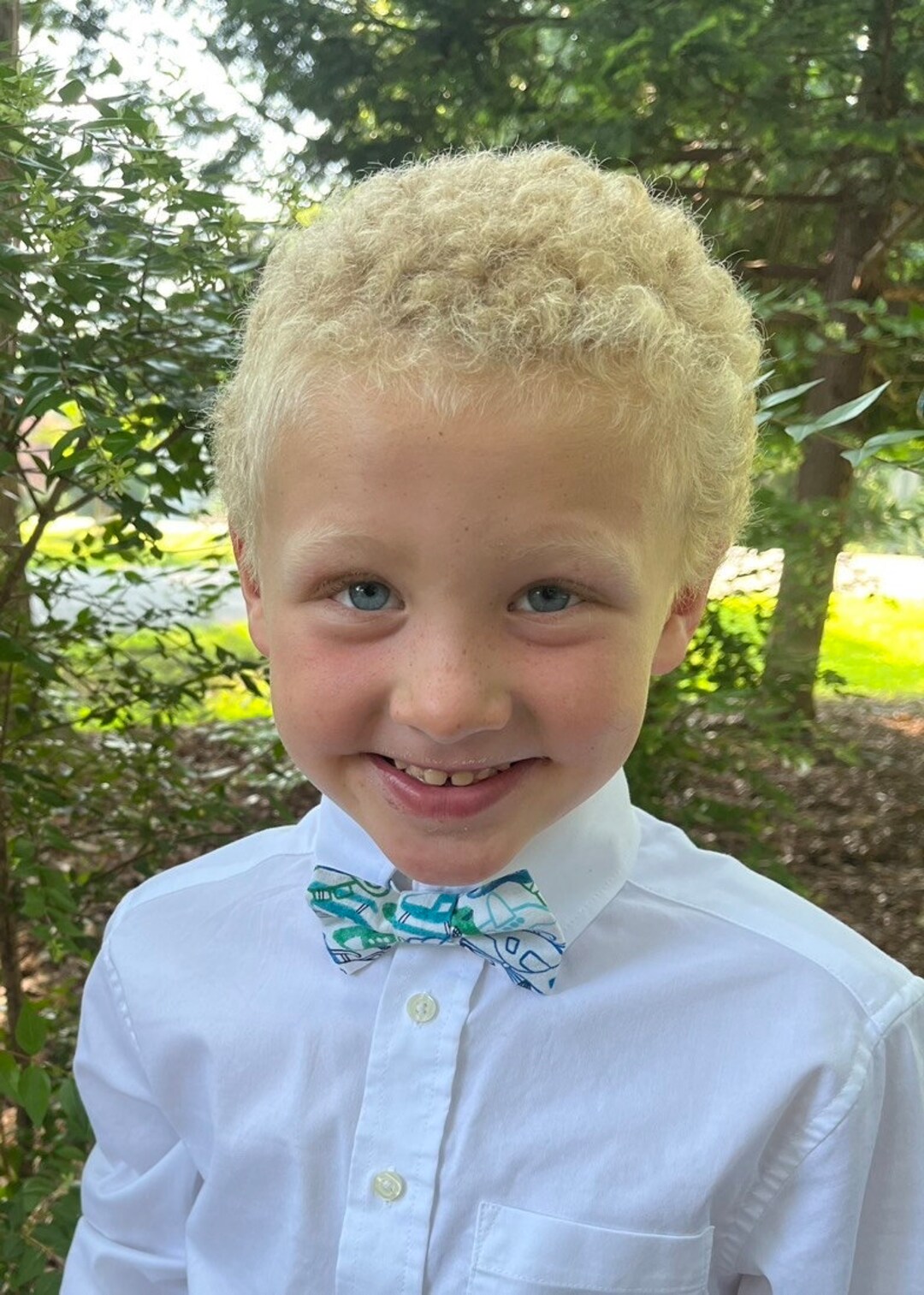 Bow Tie for Boys Kids Bow Tie Dinosaur Boys Bow Tie Dogs Etsy