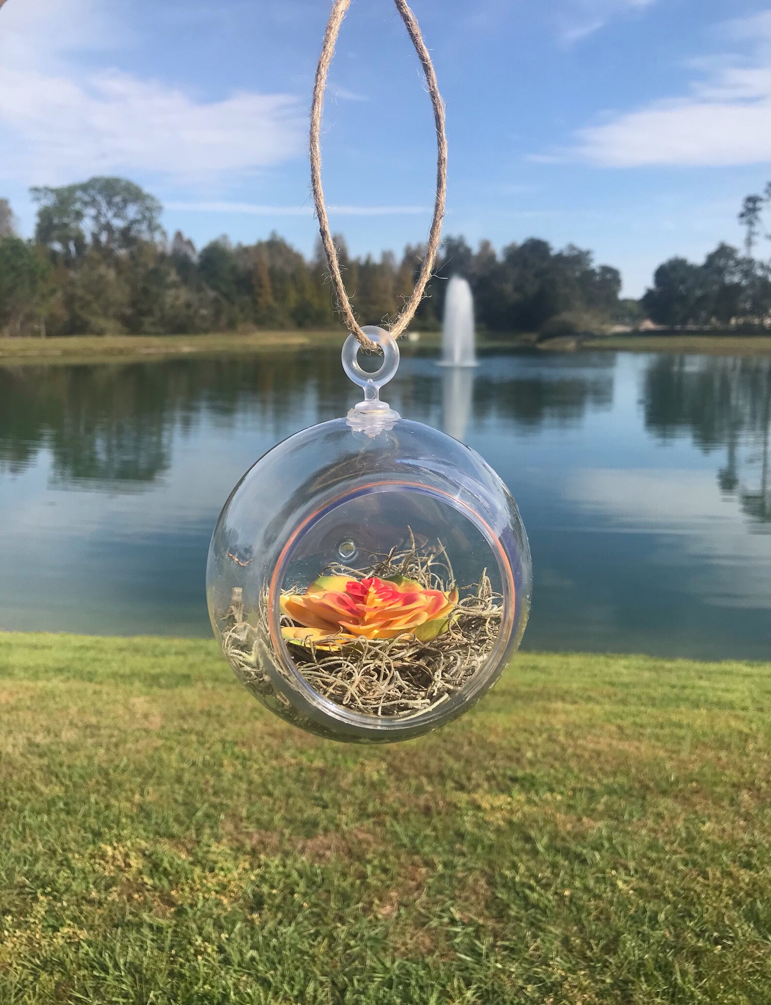 Hanging Plastic Orb Terrariums with Artificial Succulent Etsy