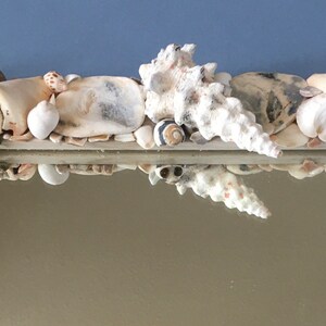 May include: A white wooden frame with a mirror inside. The frame is decorated with a variety of seashells, including a large conch shell, a scallop shell, and several smaller shells. The shells are arranged in a random pattern around the mirror.