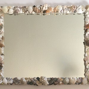 May include: A rectangular mirror with a decorative frame made of seashells. The frame is made of a variety of seashells in different shapes and sizes, including white, brown, and grey shells.