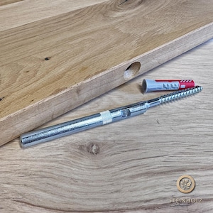 Peut inclure: Gros plan sur une surface en bois avec un trou percé. Une vis en métal argenté avec une cheville en plastique rouge est posée sur la surface. La vis sert à fixer une étagère ou un autre objet au bois.