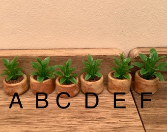 Miniature 12th scale pots of foliage plants , ceramic pots with tiny plastic houseplants