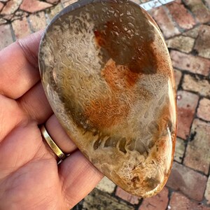 May include: A teardrop-shaped polished stone with a swirling pattern of brown, white, and orange colors.