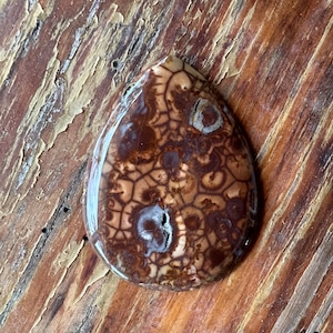 May include: A teardrop-shaped pendant made of brown and white agate with a swirling, organic pattern.