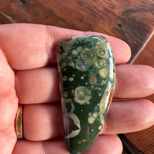 Rainforest jasper excellent quality