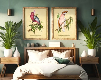 DUO OF COCKATOOS Rosalbin and Leadbeater Cockatoos Vintage Bird Printing Unframed Wall Decor