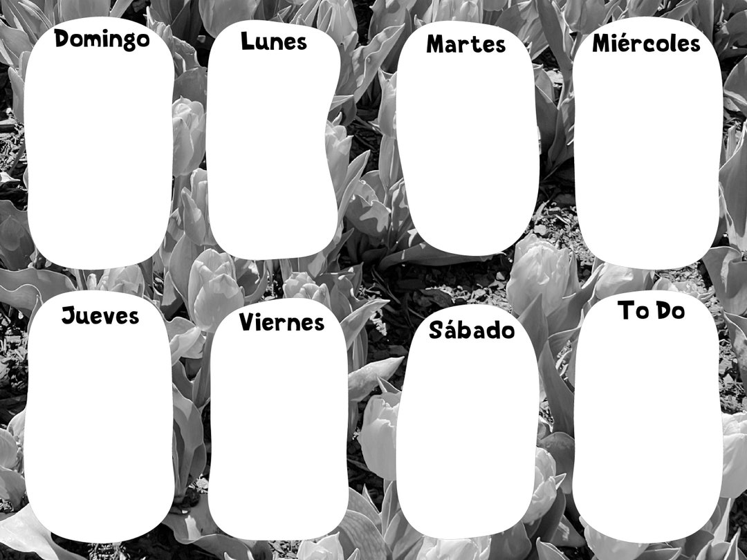 Calendario Semanal Imprimible en Español - Etsy México