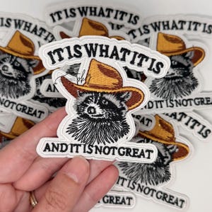 May include: Embroidered patch featuring a raccoon wearing a brown cowboy hat. The patch has the text "IT IS WHAT IT IS" and "AND IT IS NOT GREAT" in black lettering on a white background. The raccoon is black and white.