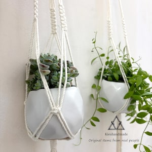 Puede incluir: Dos macetas colgantes de cerámica blanca con colgadores de macramé. Una maceta contiene una suculenta con hojas verdes y rojas, la otra una planta verde colgante. Las macetas cuelgan contra una pared blanca.