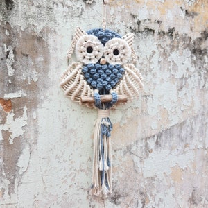 Macrame owl wall hanging DIY KIT with video instruction