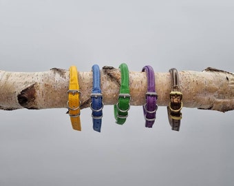 May include: Five leather dog collars in different colours: yellow, blue, green, purple, and brown. The collars are displayed on a birch branch.