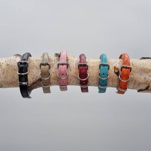 Luxury Leather Roll Neck Collars