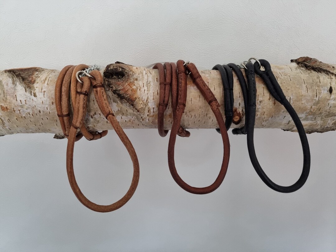 Rolled Leather Show Lead Set Etsy