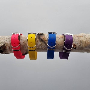 Waterproof Buckle Large Dog Collar 25mm wide