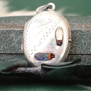 Op de afbeelding: Ovale zilveren locket met geëtst bloemmotief. De locket bevat twee kleine, kleurrijke insectenillustraties. Het hangt aan een kleine lus. De achtergrond is een gedempt groen.