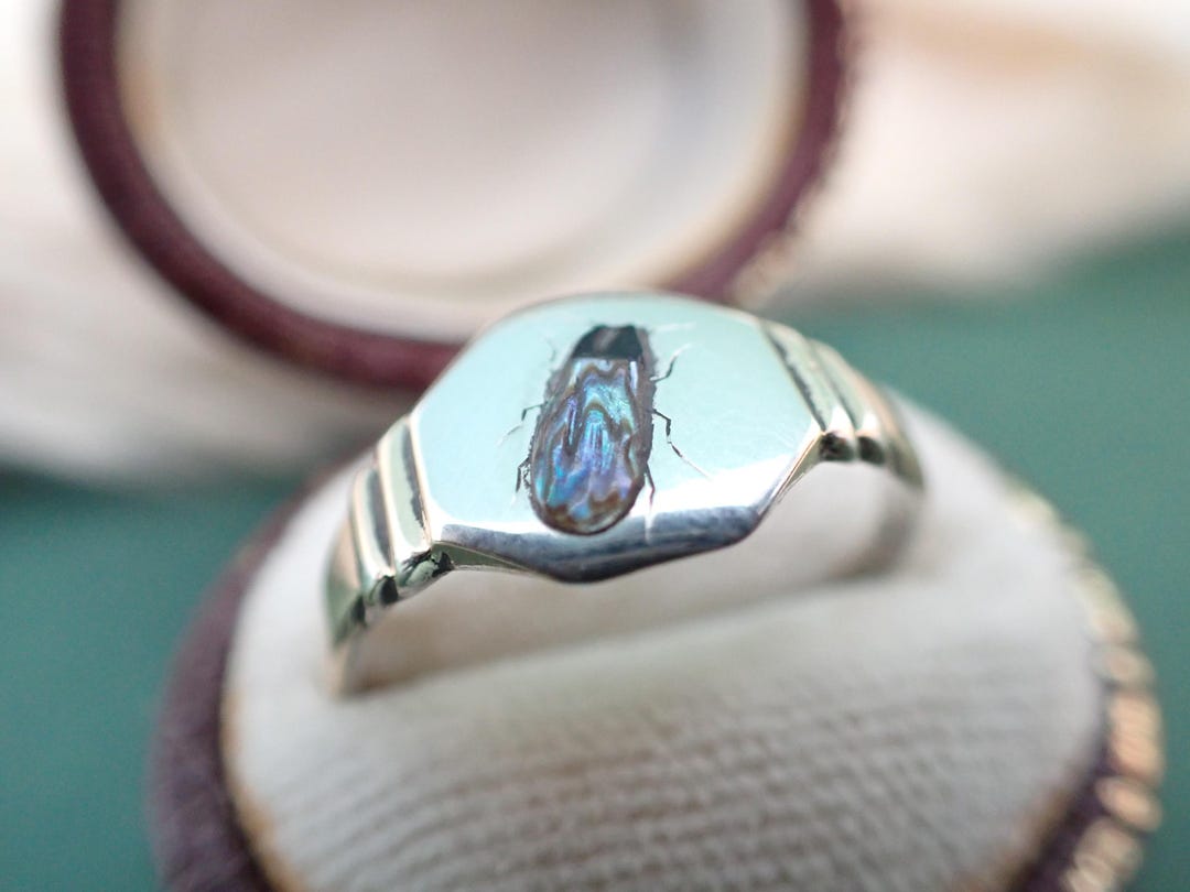 Signet Insect Vintage Shibayama Insect Silver Signet Ring - Etsy