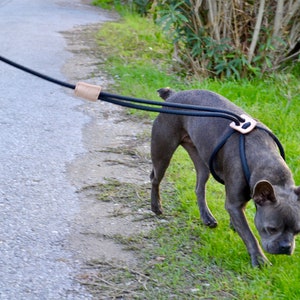 No pull dog harness, Leather dog harness, rope dog harness and leash set, Large dog harness, boho dog leash, blue dog leash, adjustable dog